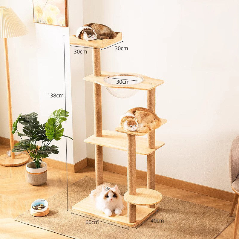 Kullë lojërash dhe pushimi për mace