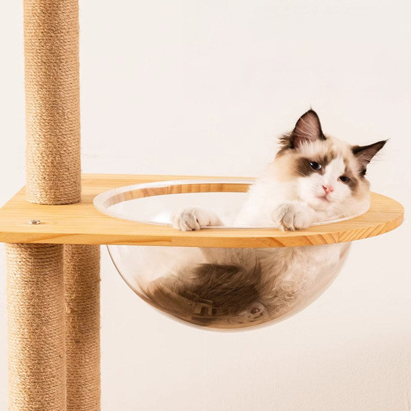 Kullë lojërash dhe pushimi për mace