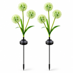 Drite me panel lule Alliumi (set 2 cope)