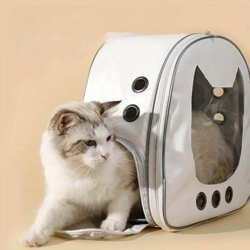 Çantë shpine për mace