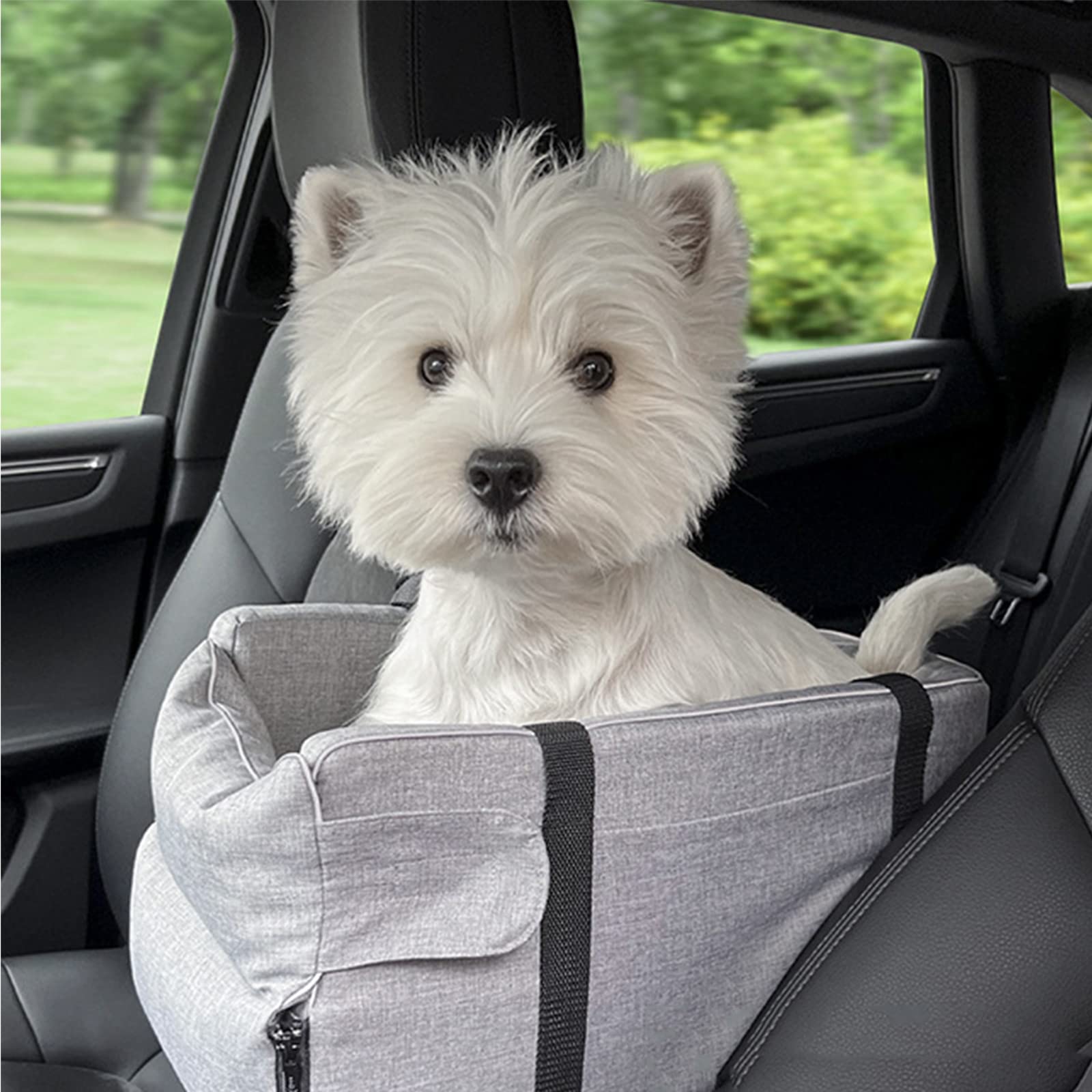 Çantë udhëtimi për kafshët e vogla shtëpiake