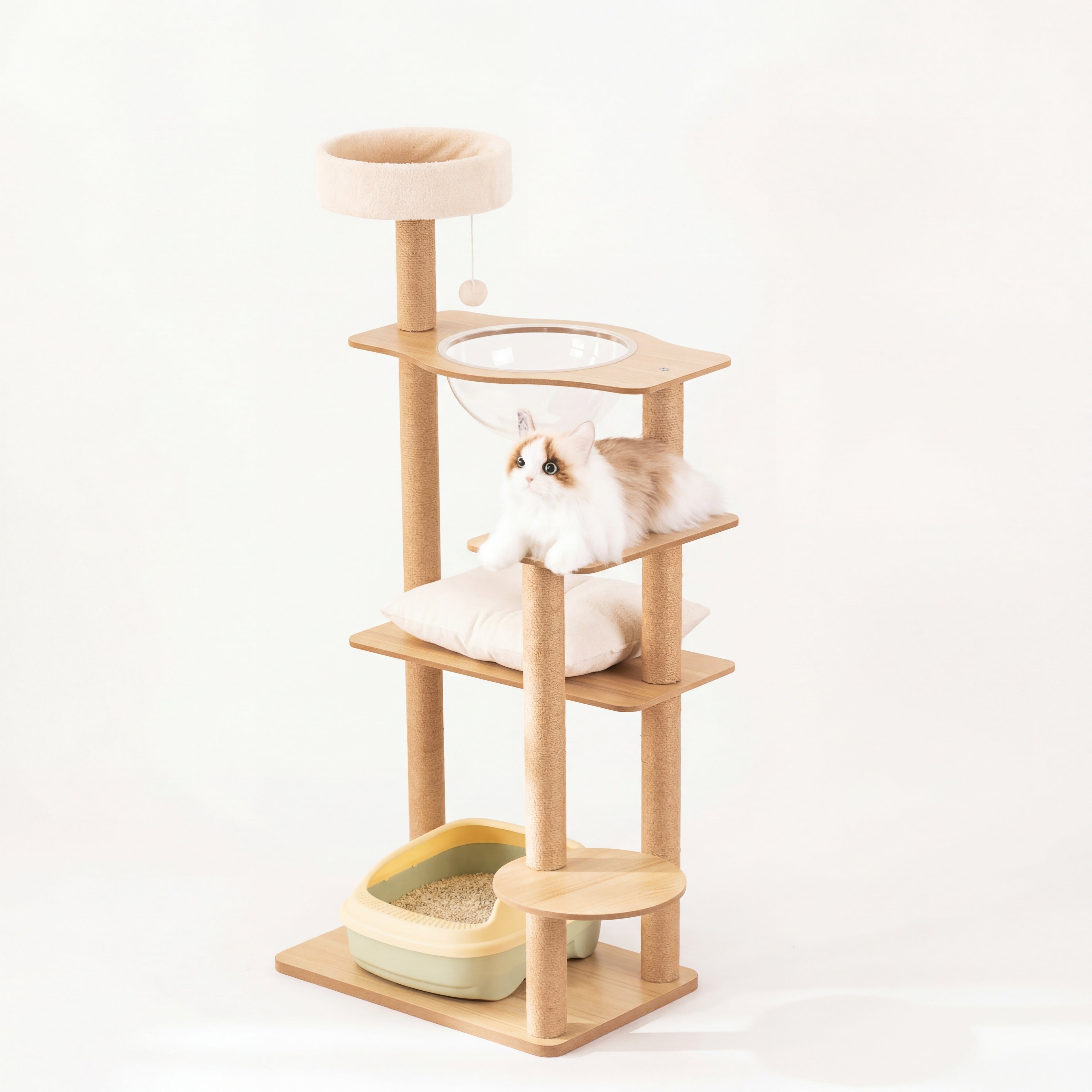 Kullë lojërash dhe pushimi për mace