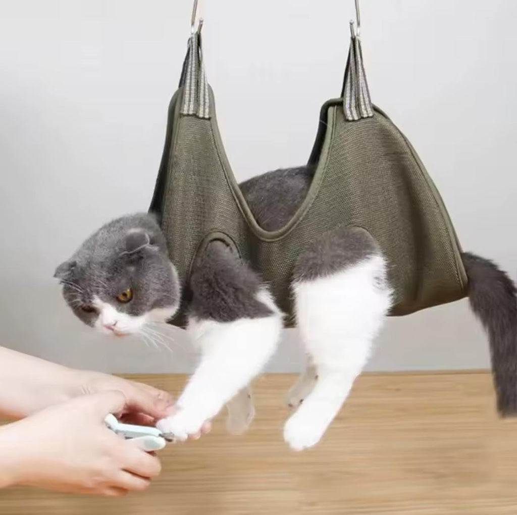 Hammock