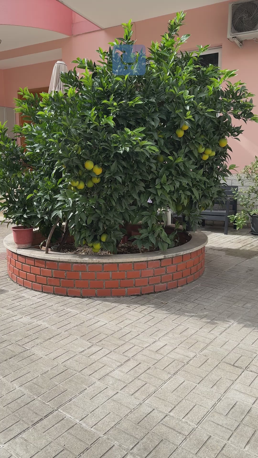 Tavolinë e palosshme