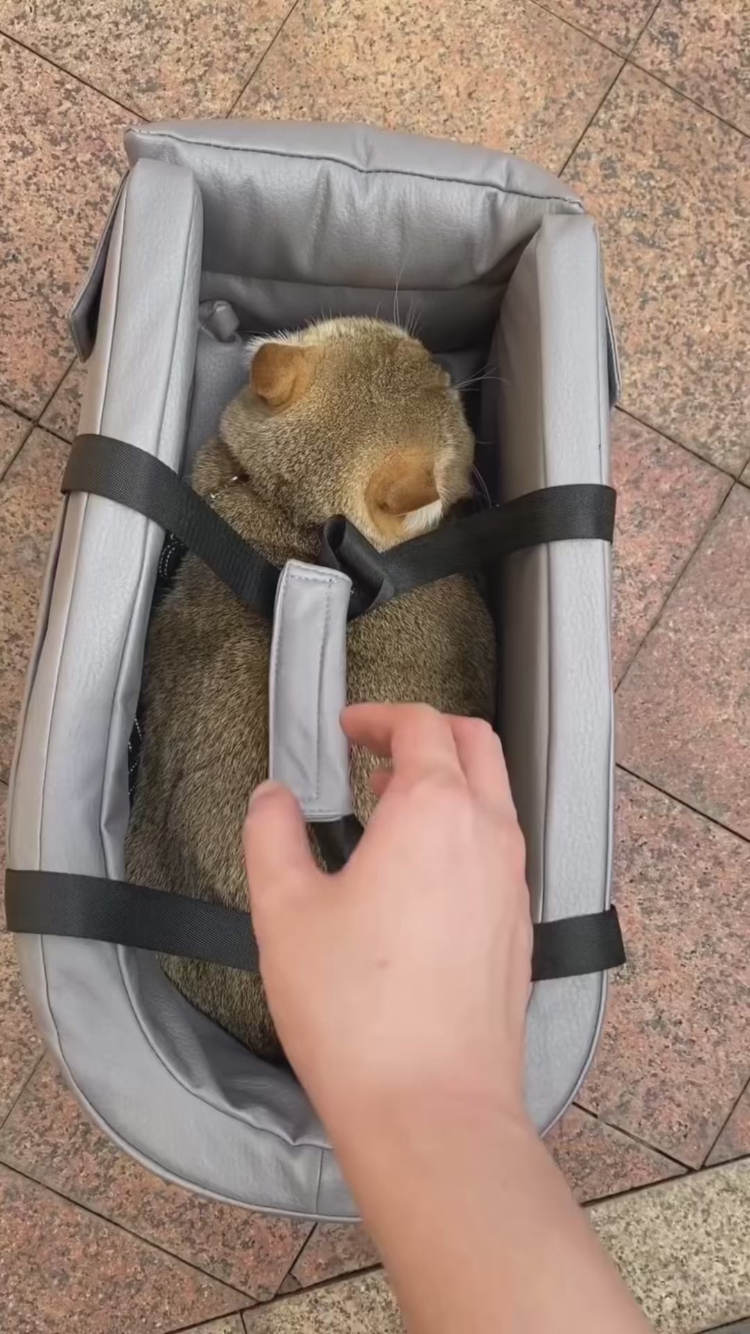 Çantë udhëtimi për kafshët e vogla shtëpiake