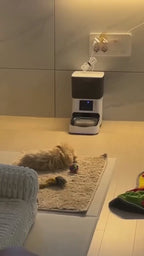Pajisje Automatike per Ushqimin e kafesheve