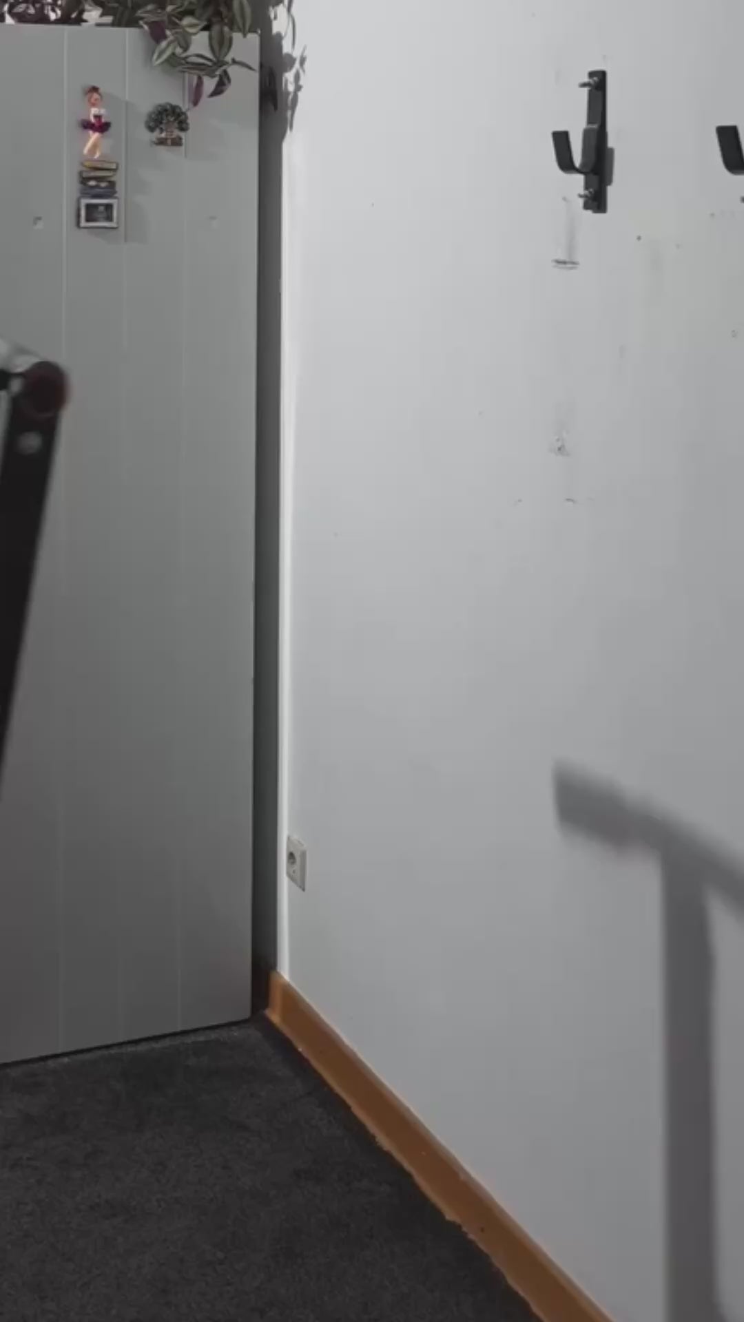 Wall Mounted Pull Up Bar 2në1